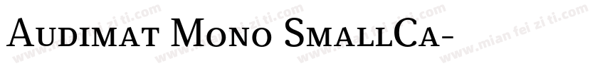 Audimat Mono SmallCa字体转换